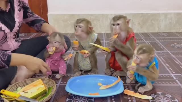Обезьянки 4 ЛАПУСЕЧКИ кричат орут кушать зовут  маму Едят быстро сьедают