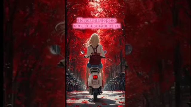 VID-20250613-WA0906