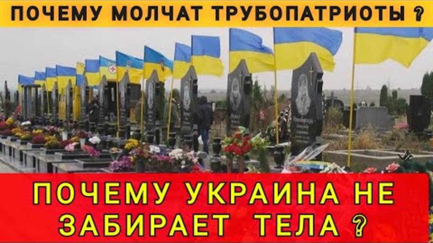ПОТЕРЬ НЕТ ❓ ТОЧНО❓ ПОЧЕМУ МОЛЧАТ ТУРБО-ПАТРИОТЫ ❓