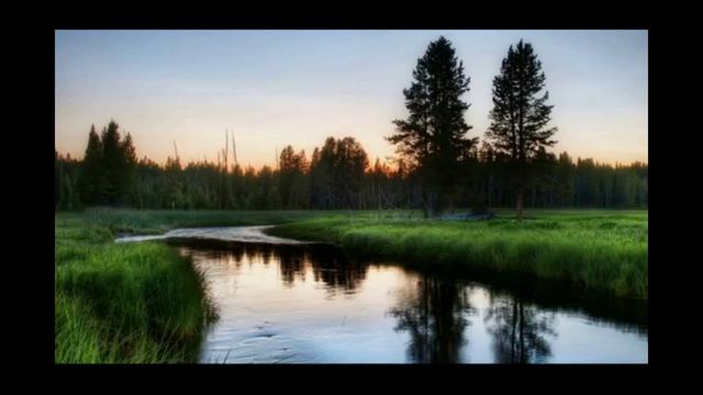 Мир жив. Живи! #спетыестихи 1000050174.mp4