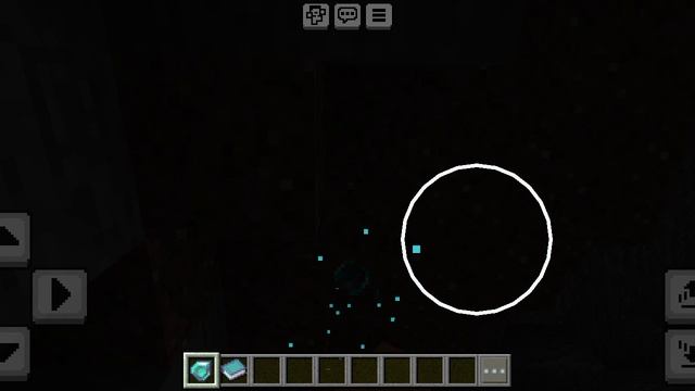 1000023263.mp4