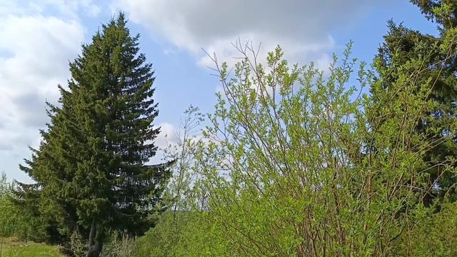 р. Колва