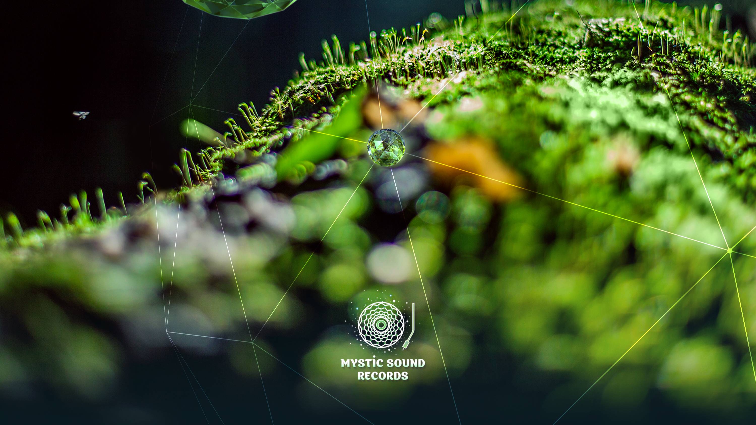 Hypersphere