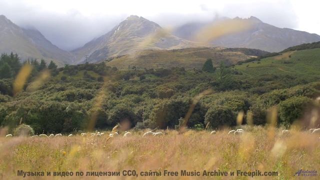 Этот клип - сама любовь, без него мир тускнеет! - Inspiring Corporate -- Scott Holmes Music -- Corpo