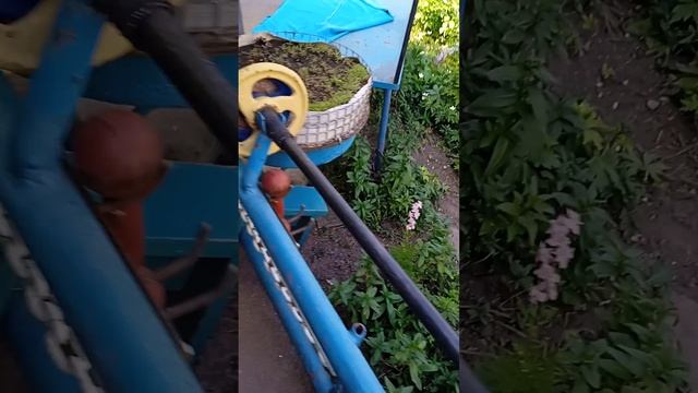 ищу котов 😄