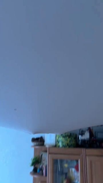 Ещё больше котиков в канале https://t.me/cotorai