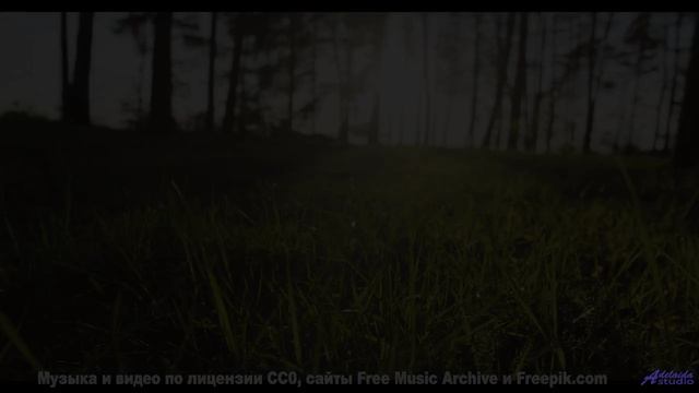 Эта музыка превратит любое путешествие в романтическое приключение - The 11th Hour -- Kirk Osamayo -