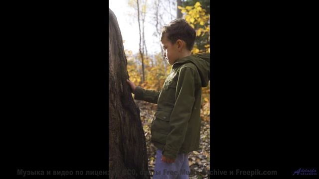 Пейзажи ложатся на душу, как мягкие ноты - Sleep -- Double-F the King -- Discovery