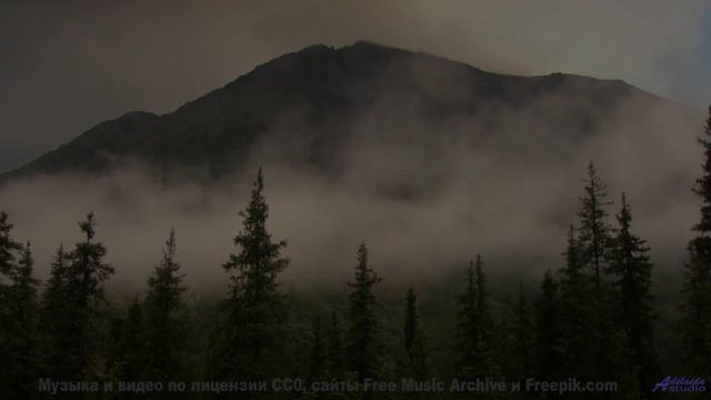 Романтика бесконечного шоссе и одного общего пледа на сиденье - From A Distance -- Eyelids -- Live a