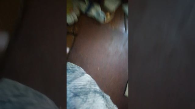 картонный дальнобойщик.