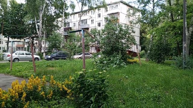 Тамбов, лето, путешествие, 2025