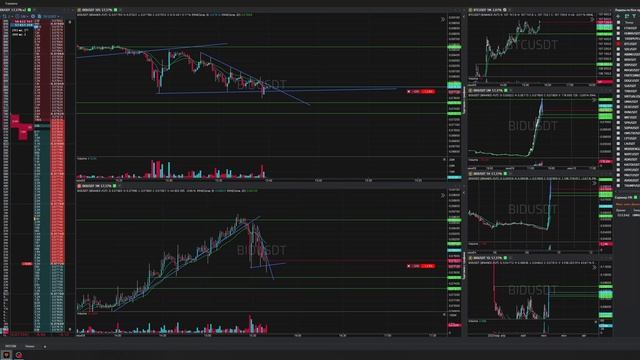 36-Bidusdt-Short-Profit-09-06-2025-15-30-11