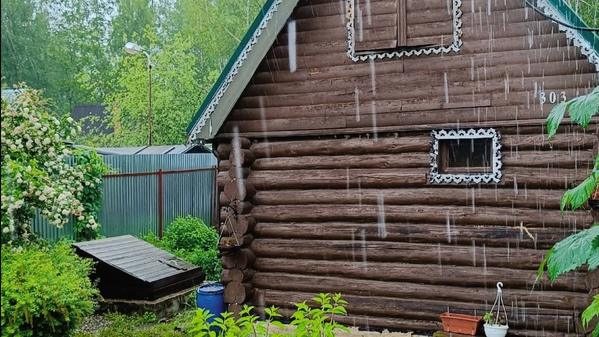 Июньский дождь