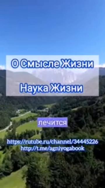 О смысле жизни