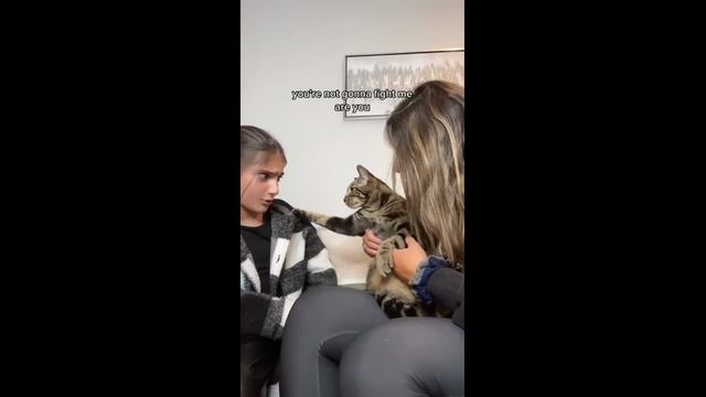 С котом так говорить нельзя (2023 год)