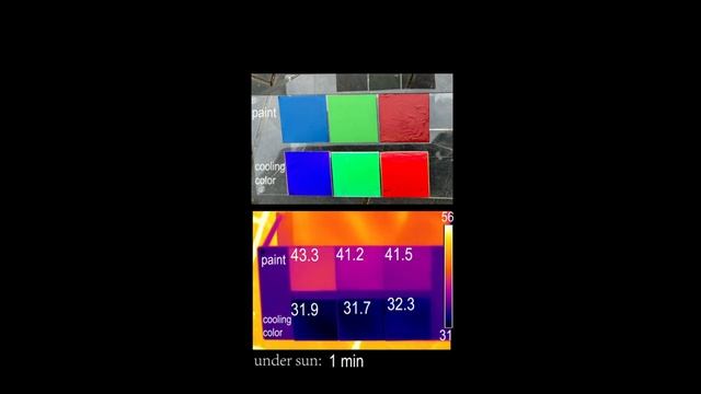 Butterflyinspired films create vibrant colors while passively cooling objects