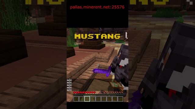 айпи pallas.minerent.net:25576