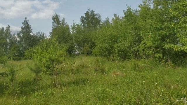Родные просторы