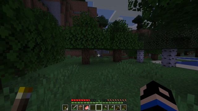 Survival server Minecraft