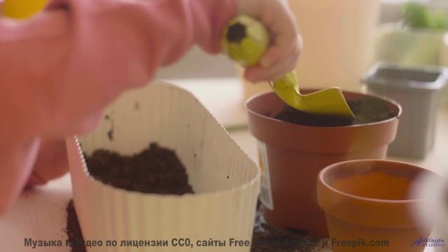 Музыка наполняет душу светом при каждом кадре - Chaudes larmes dun reporter candide -- Fourmi -- LAl