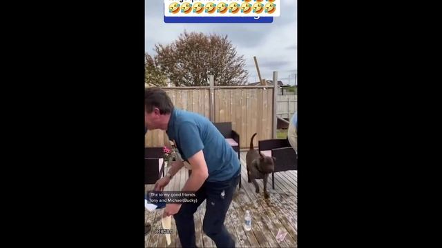 ПРИКОЛЫ НА КАЖДЫЙ ДЕНЬ: СМЕШНЫЕ ВИДЕО ДЛЯ ПОДНЯТИЯ НАСТРОЕНИЯ