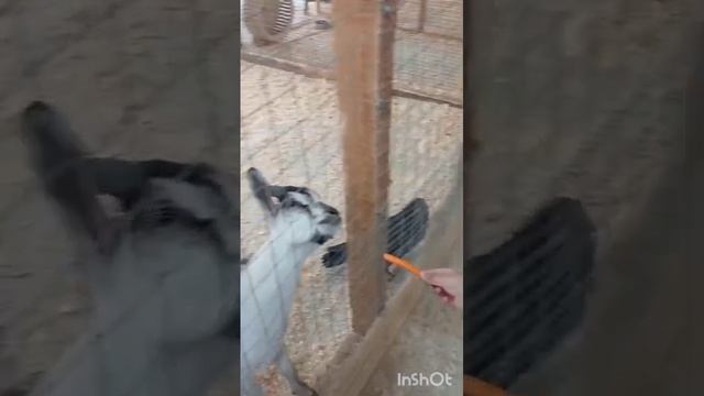 1000003874.mp4