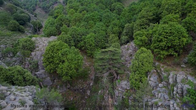Видео, которое можно смотреть только в состоянии медитации - попробуйте! - Fictofaction -- Nihilore