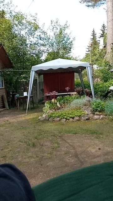 Батя и сын