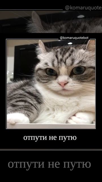 Милая GIF