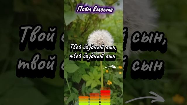 1000011799.mp4