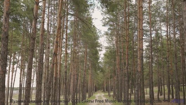 Ты почувствуешь, как что-то меняется внутри после просмотра! - Moving Forward -- Scott Holmes Music
