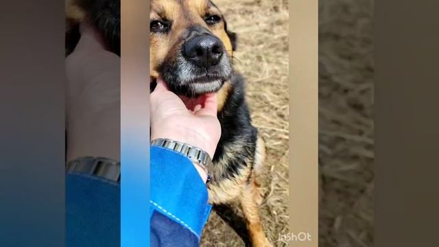 Обратите внимание на Тинку, она мечтает обрести семью.