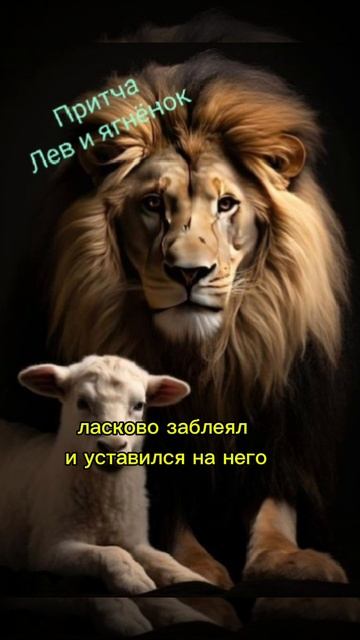 Ответы на твои вопросы 💕