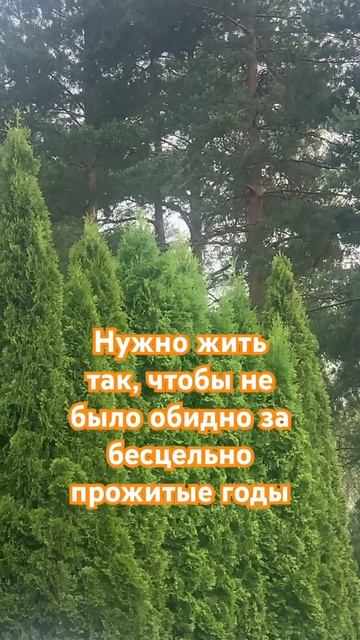 Жить