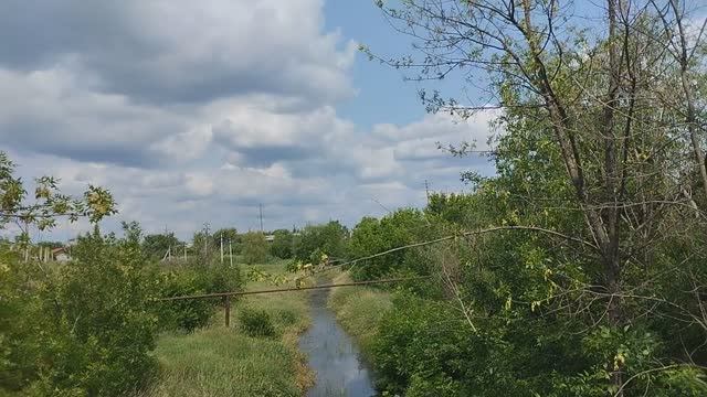 Жара ,речушка высохла местами дно сухое ,из живности ужик , черепаха , лягушки и рыбку видел.