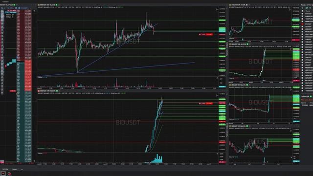 20-Bidusdt-Short-Stoploss-09-06-2025-14-17-06
