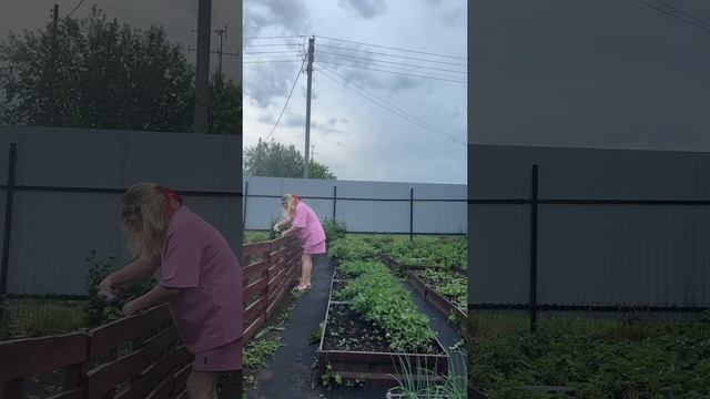 Декор для огорода #уралочка #уральскаядевушка