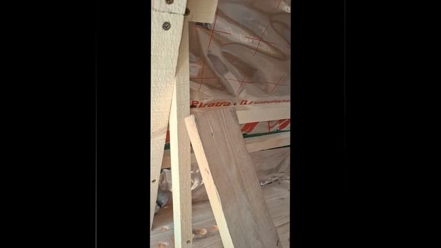 1000026593.mp4 (Собака слушает о планировании крепления  имитации бруса внутри дома А-фрейм)