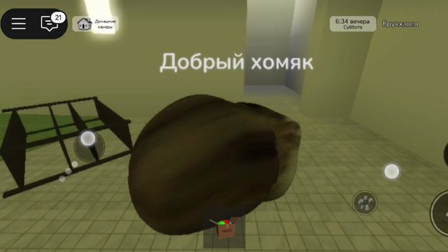 Играю в роблокс за доброго хомяка.