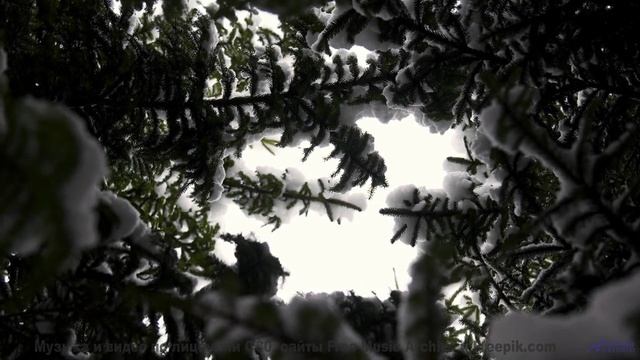Эти пейзажи и музыка вытряхнут душу начисто - Falling into the game -- Soft and Furious -- You know