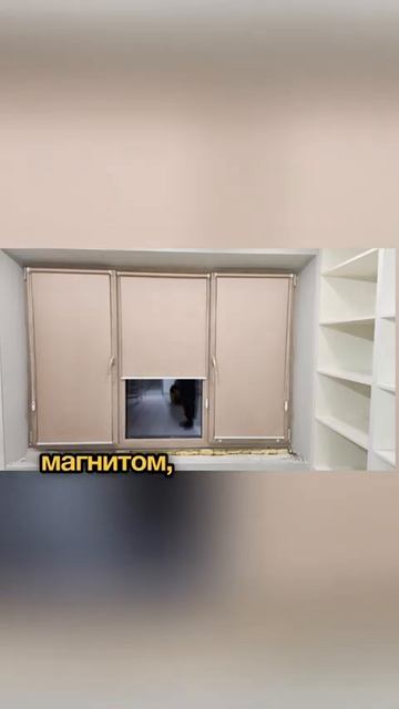 Рулонные шторы. Купить по ссылке в шапке профиля. #рулонныешторы #шторы #жалюзи #дизайн #уютныйдом
