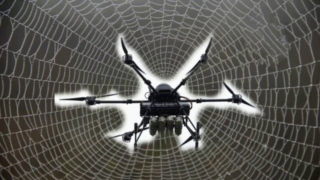 Сон "Паутина". Призыв к молитве!