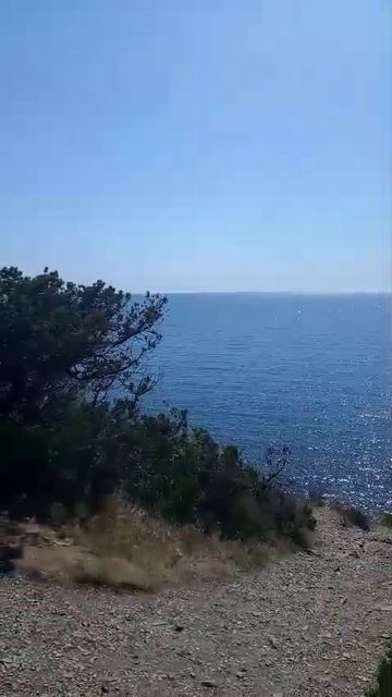 1000321719.mp4