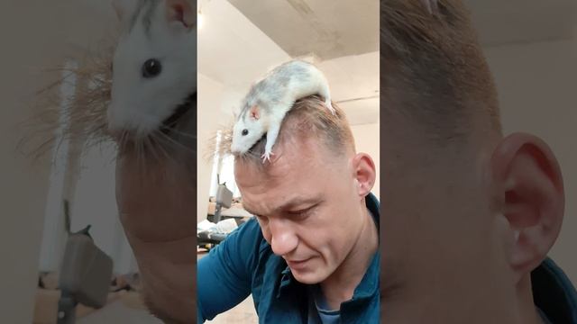 1000056155.mp4