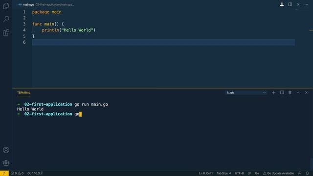 03 - Your First Go Application