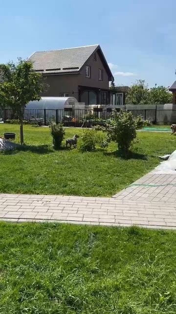 Батя ракета