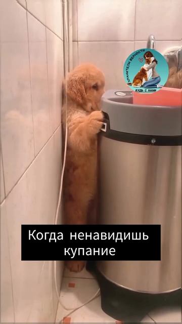 Не хочу купаться