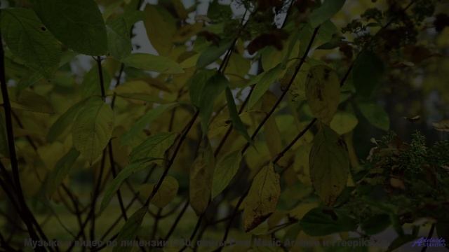 Эти пейзажи созданы для того, чтобы влюбляться снова и снова... - Adaptation -- Anthem of Rain -- Un