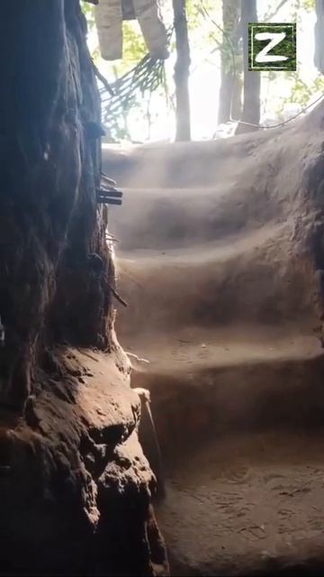 СВО
