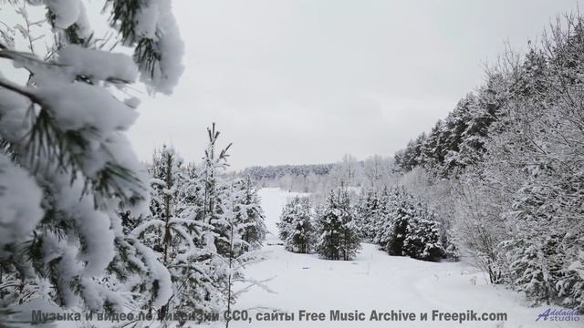 Путешествие начинается внутри себя при первых звуках - Things Change -- HoliznaCC0 -- Forager Pt 2